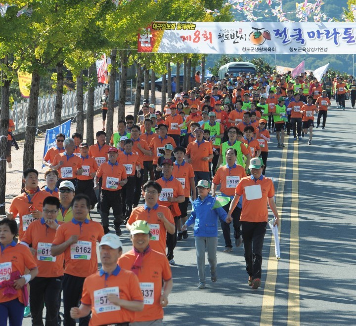 제8회 청도반시 전국마라톤대회 성황리 개최