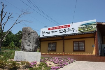 안동하면 역시 하회마을이지