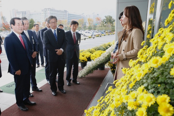 충남교육청, 가을 향기와 함께하는 국화꽃 사색