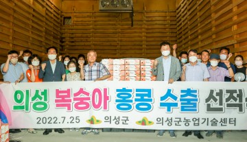 복숭아 올해 첫 수출 선적한 의성군