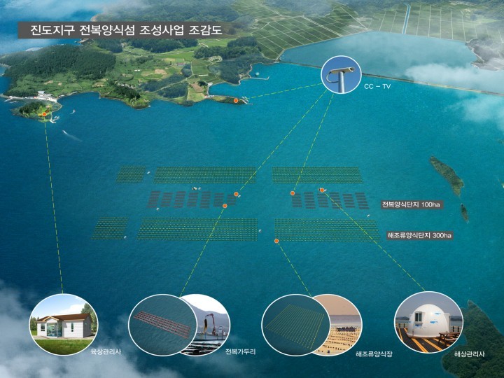 전복 양식섬 본격화…청정 진도 바다가 뜬다
