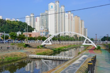 도심하천 진천천,‘생태하천’으로 변신하다