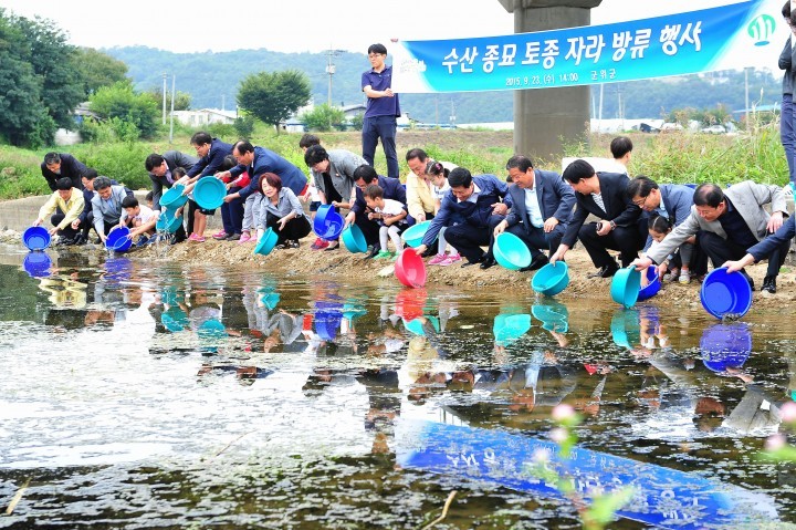 수산종묘 토산어종 자라 방류