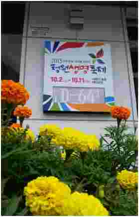 2015청원생명축제 D-day 알림판 설치