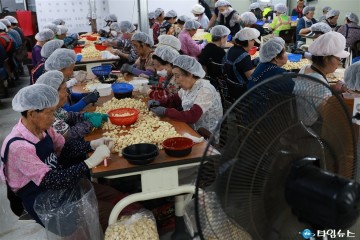 충북도 ‘일하는 밥퍼’ 30만 명 돌파… 전국이 주목한 복지 혁신모델로 자리매김