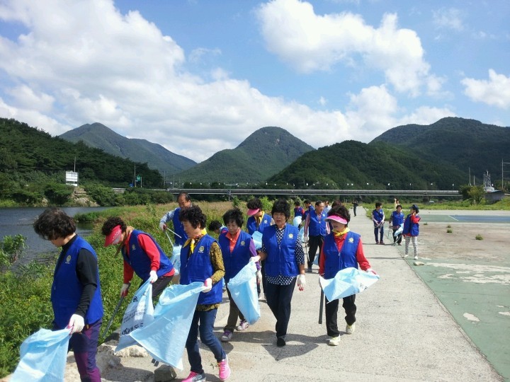 매전면 바르게살기위원회 정화할동