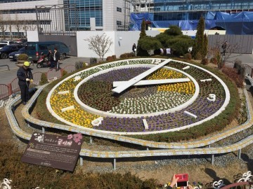 대전시, 새봄 맞이 도심지 꽃단장