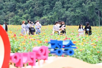 가을꽃 향기 가득한‘산소카페 청송군’
