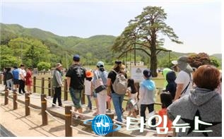 보은군, 정이품송으로 마실 오세요.