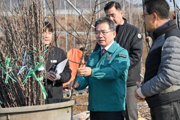 군위군, 신품종 ‘골든볼’ 사과 첫 식재