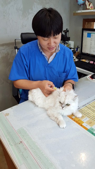 세종시, 고양이 동물등록 시범사업