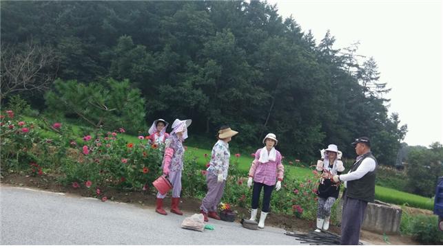 대신면 『깨끗하고 밝은 여주 만들기』 구슬땀 흘려