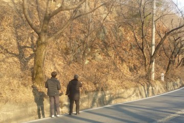 대전 중구, 해빙기 안전점검 실시