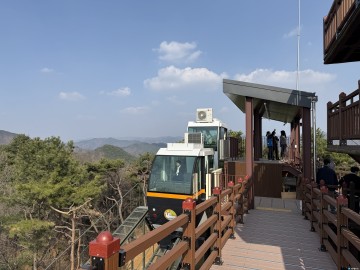 대통령의 정원, ‘모노레일’ 타고 봄의 정점으로… 24일 청남대 영춘제 개막