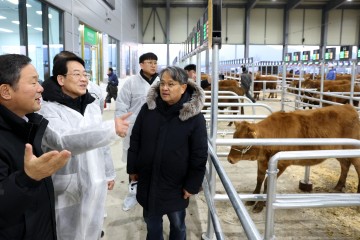 강진군, 송아지 브랜드 육성사업 8년 연속 선정
