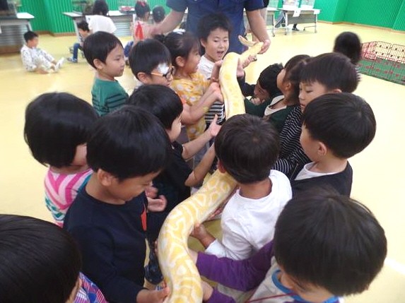 세종시교육청, 유치원으로 찾아오는 이동 동물원 인기