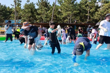 보성군, 전어축제 & 회천면민의 날 개최