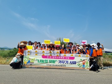 석적읍, 석적애(愛) 나눔텃밭서 감자 수확