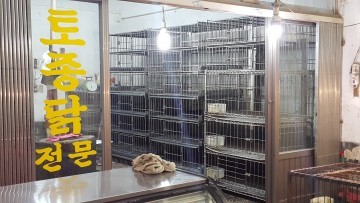 상당구  고병원성 AI 차단방역 위한 육거리시장 매일 점검