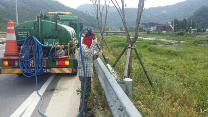 김천시, 가뭄 속 나무살리기 총력