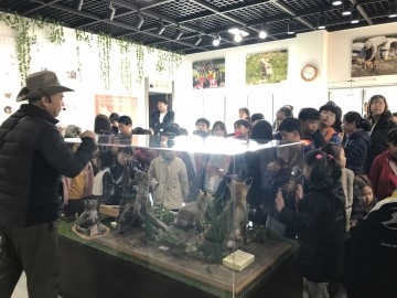 봉화군 물야초등학교 여우 관찰 체험 활동
