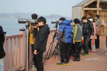 군산-서천 금강철새여행, 가을 철새 여행 속으로 