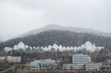 조선대, 정시모집 1358명 선발···광역화 모집 실시