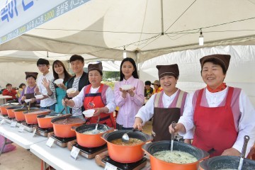봄의 향연 속 정선의 봄 축제