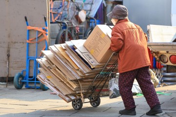폐지 줍는 노인 서울 3천명…절반 80대, 월소득 89만원 수준
