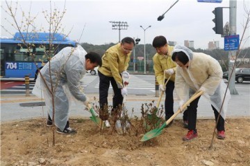 북대전세무서, 청사부지에 꽃나무 등 식목 행사 실시
