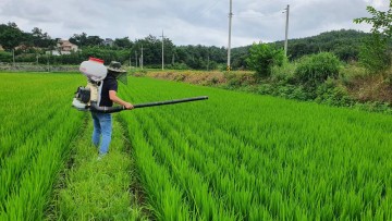 강진군, 비료수급 위기에 적정시비 당부 