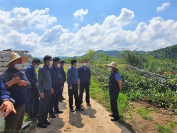 김주수 의성군수, 농작물 피해현장 방문위로