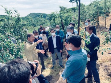 영주시,저온피해 농가 보상 위해 발 빠른 행정 눈길!