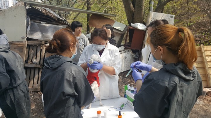대전수의사회, 복지 사각지대 천사의 집 유기동물 진료봉사
