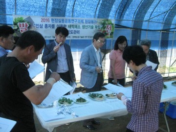 영주시, 인삼종자로 새싹채소 개발 추진