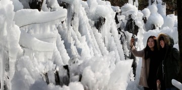 대전 동구, 1월의 '얼음동산'