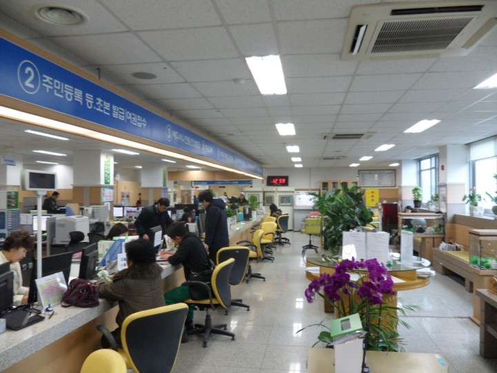 세종시, 여권민원 출범 대비 265% 증가