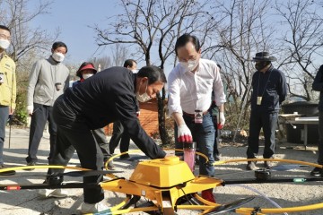 박상돈 천안시장, 천안배  인공수분 일손돕기 ‘앞장
