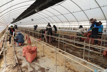 충북농기원, 충청권 수해 복구 지원 총력