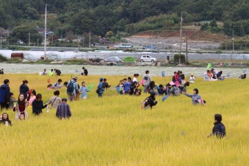 성주가야산으로 와요 메뚜기 잡으러 와요~♬
