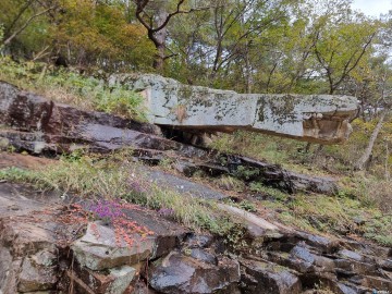 "자연이 빚은 예술, 문경새재 지름틀바우를 아시나요?"