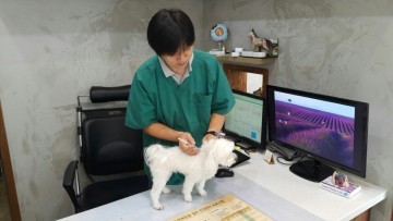 세종시, 봄철 광견병 예방접종