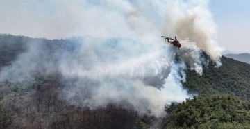 안동으로 번진 산불 "여기서 막아야 해"… , 긴장감속 진화 '총력'