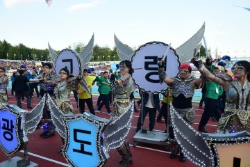 고령군, 제55회 경북도민체육대회 군부종합9위