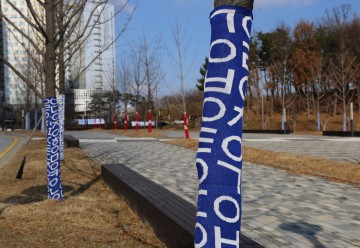 세종시, 호수공원, 세종의 색(色)을 입다!