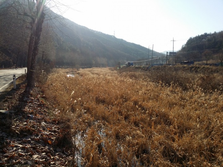 대전 동구, 42억 들여 친환경 하천으로 탈바꿈