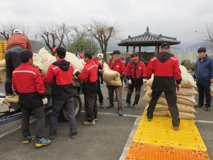 2015 금천면 공공비축미곡 매입