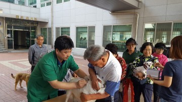 대전 동구, 광견병 무료 예방접종 실시