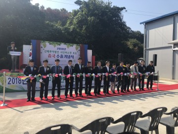상주 샤인머스켓 포도 중국수출로 날개달았다.