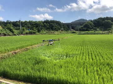 공검면, 관내 논 '드론'  공동방제 실시